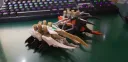 흑흑 다들 건프라 자랑하는데 나만 자랑할게 곤충밖에 없어