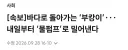 북항 상어 내일(29일) 돌려보낸다네