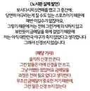 노시환 욕하던사람 반성좀 하길.jpg ㅉㅉ