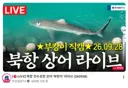 부캉이 라이브 시작하고 민심.gif