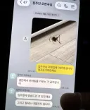 집에서 반려동물 키우다 걸린 세입자 ㄷㄷ