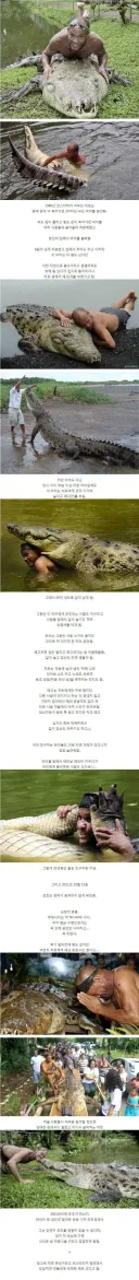 총에 맞아 죽어가는 걸 구해준 이후 친구가 된 악어.jpg