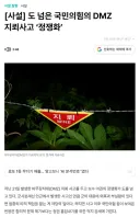 DMZ 지뢰사건 말인데요...하....