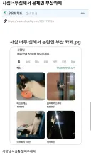 사심너무심해서 문제인 부산카페