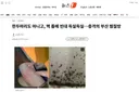 한두마리도 아니고, 벽 틈에 빈대 득실득실…충격의 부산 찜질방