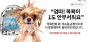 이 유게이 이 나쁜 새기들