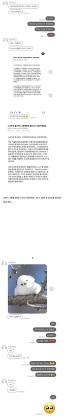 평소엔 지적인 새언니가 아가씨에게 보내는 카톡