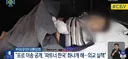 우크라이나 언론, 한국 화났다.