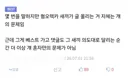 인터넷에서 혐오 렉카글 올라올 때 마다 명심해야 하지만 잘 안 지켜지는 것