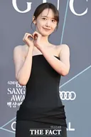 윤아 악의적 합성사진 유포자  법적대응