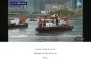 속보?) 부산 상어 강제 퇴거 중