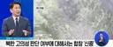 합참 "북한이 의도적으로 지뢰 심었다 보기 어려워"