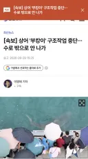 [속보] 상어 '부캉이' 구조작업 중단…수로 밖으로 안 나가