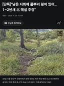 “남은 지뢰에 풀뿌리 덮여 있어…1~2년새 北 매설 추정”