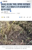 [속보] 강신철 “북한, 명백한 정전협정 위반” 사고 현장서 수지 반보병지뢰 1발 추가 발견