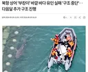 부캉이 유인 작전 실패