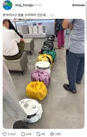밥솥 병원 대기줄.jpg
