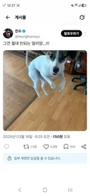나 이정도면 인터넷 도화살 개쩌는거 ㅇㅈ?