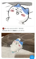 먼작귀 표정 근황