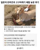 애완견과 고구마캐기 체험 농장 후기.jpg