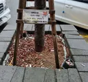 흡연자들이 흡연충이라고 욕먹는 이유