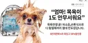 "엄마! 목욕이 1도 안무서워요"