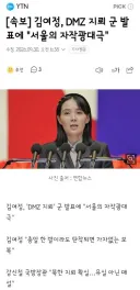 김여정, DMZ 지뢰 군 발표에 '서울의 자작광대극'
