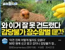 어느 공익채널의 폭력적 썸네일