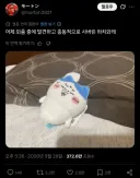 현재 일본과 한국에서 밈이 엇갈리고 있는 치이카와 팬아트.twit