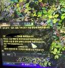안녕하세요 할모시 박제당한 서폿 반려동물학과입니다.