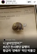 4년간 납치 감금 전시했는데 살아있었던 사건