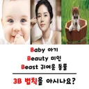 사실 이 작품은 소재 자체가 사기임