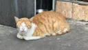 공장 때껄룩 특