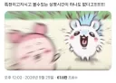 치이카와)개봉 전 과 후