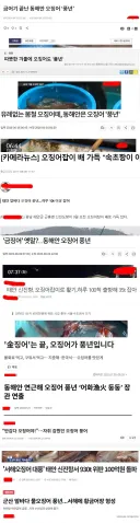 매년마다 풍년 이라는데 소비자는 체감 못하는것