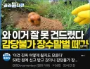 카메라맨의 마지막 촬영