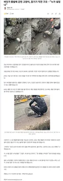 통발에 갇혀 잠기기 직전 고양이 구조… 누가 넣었나