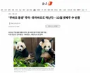 '푸바오 동생' 루이·후이바오도 떠난다…12월 셋째주 中 반환