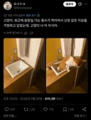 고양이가 화장실에 가는 횟수가 줄어든 이유.twit