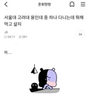 서울대 고려대 용인대 중 하나 다니는데 뭐해 먹고 살지.jjukbbang