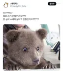 애초에 할머니의 너구리 수세미를 진짜 설거지에 쓰는 사람 처음 봄