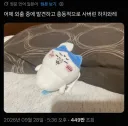 "야인시대 65화"