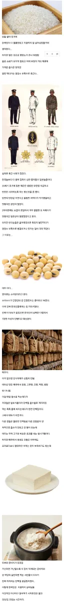 의외로 한국인을 살린 식품