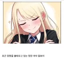 해리포터) 말포이 지팡이 서사 요약