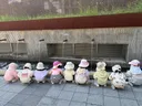 세상 무해한 사진