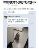 아파트 단톡방에 나타난 라쿤이