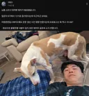 [스타2] 패치 롤백되나봄