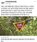 지뢰폭발 부상 군인분들에게 고소되도 할 말없는 단체