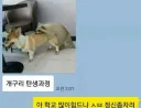 개구리 탄생과정.JPG