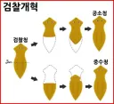 검찰 개혁(X).jpg
